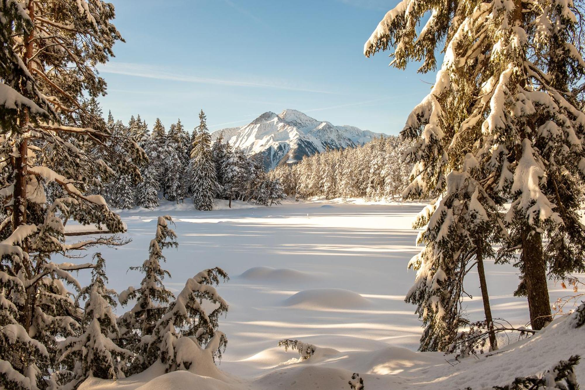 Solu Apartments Seefeld in Tirol Dış mekan fotoğraf