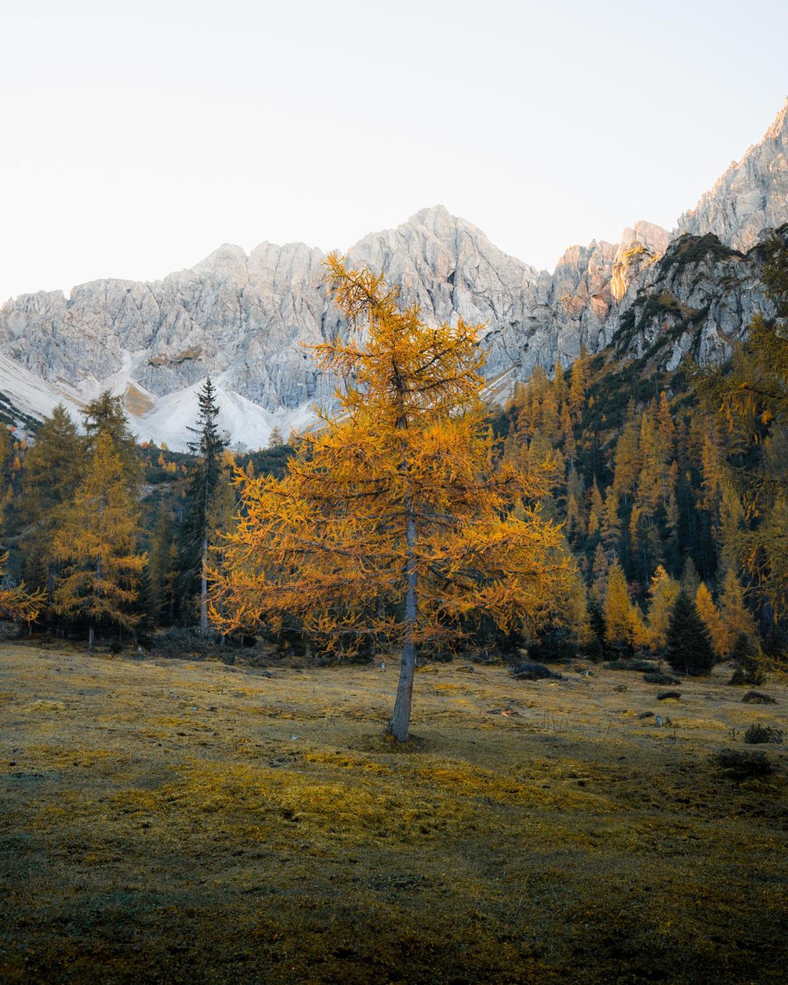 Solu Apartments Seefeld in Tirol Dış mekan fotoğraf