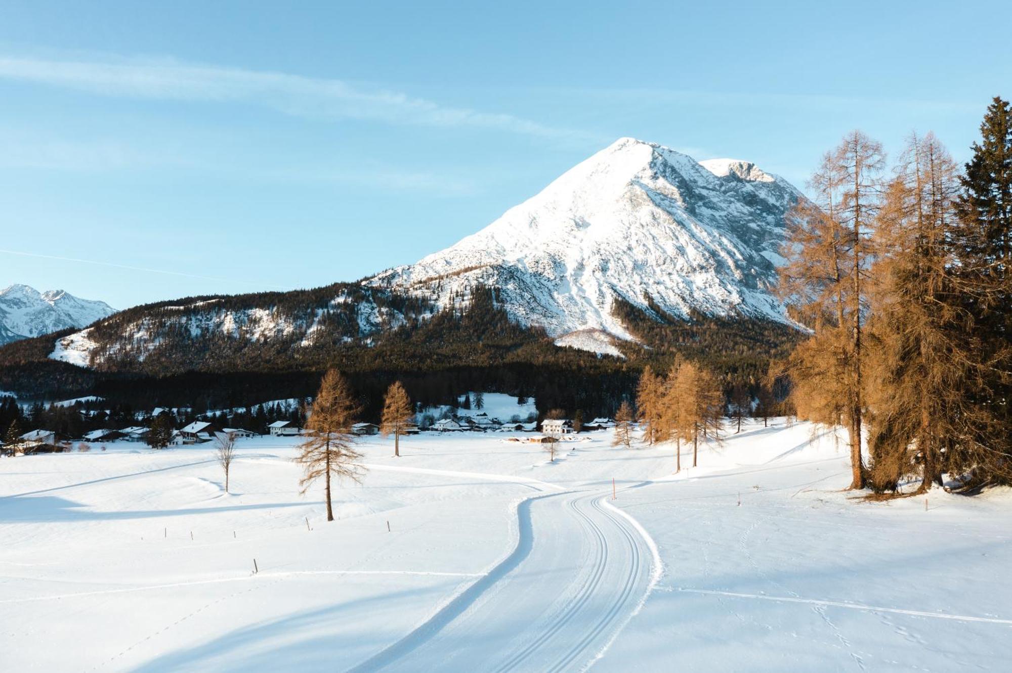 Solu Apartments Seefeld in Tirol Dış mekan fotoğraf